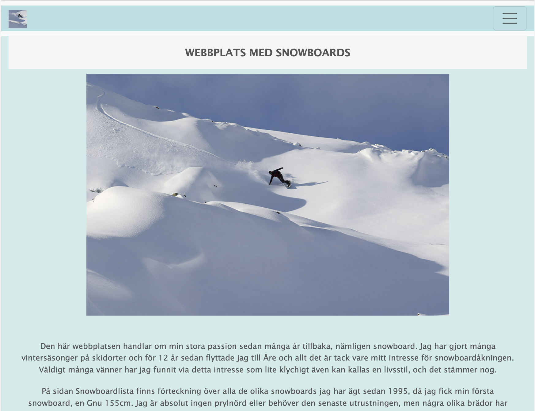 snowboard site project image